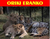 animals panegyrics