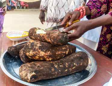 overview of new yam festival