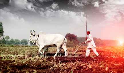 Showcasing Farm Taboos: Why Women Were Restricted in...